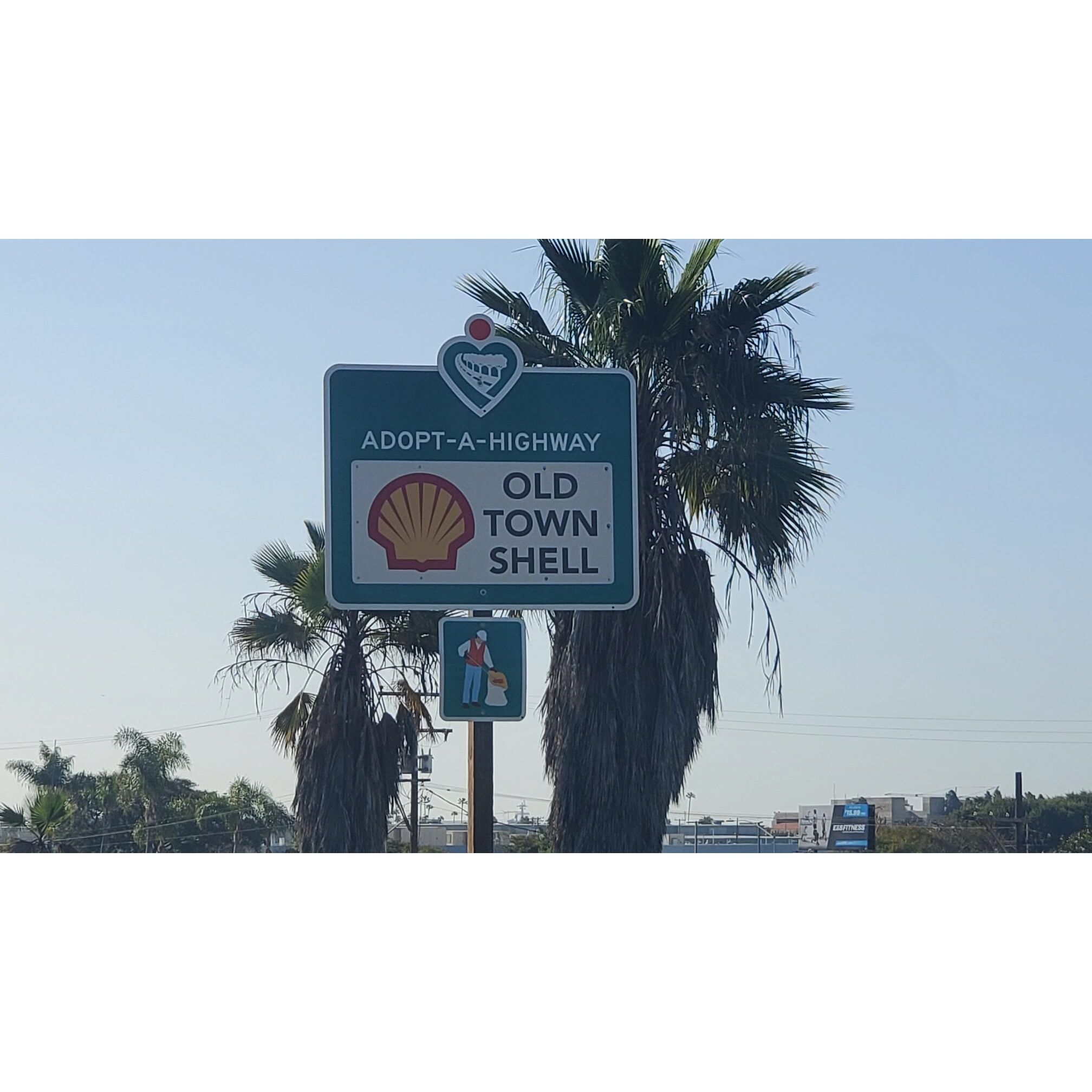 white-OldTownShell - new