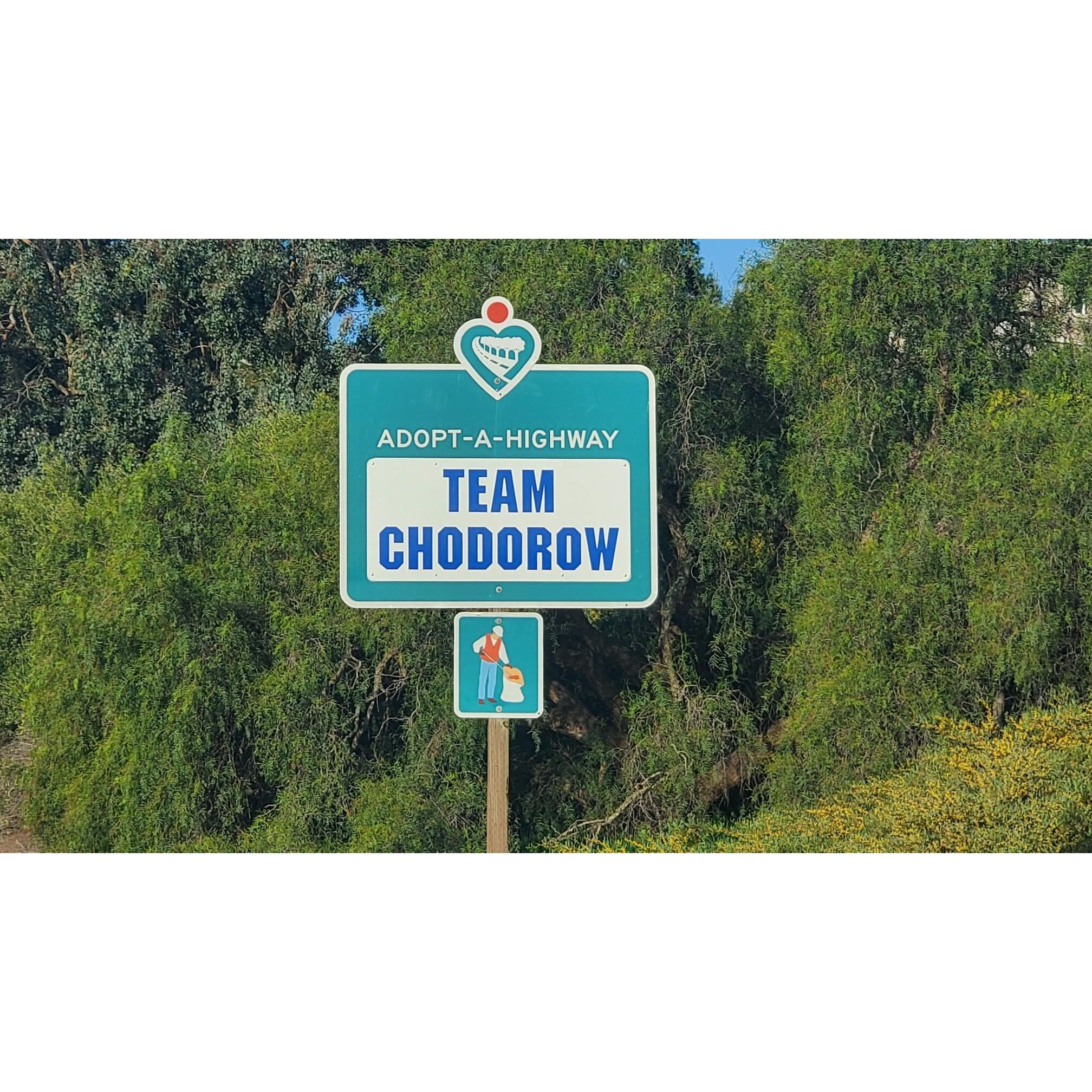 white-TeamChodorow - new